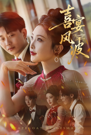 喜宴风波&替罪伴娘（30集）在线播放
