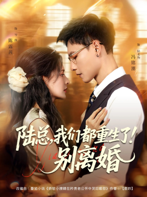 陆总我们都重生了别离婚（79集）夸克网盘观看