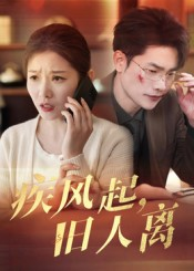 疾风起旧人离(32集) 疾风起旧人离(32集)第32集