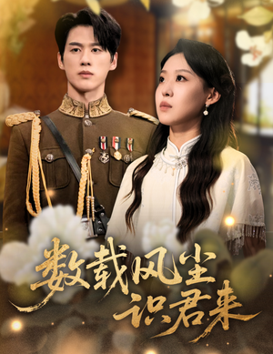 数载风尘识君来（62集）免费看全网短剧
