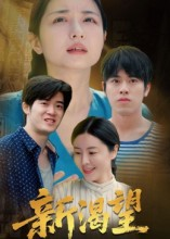 新渴望（30集）西瓜短剧免费看