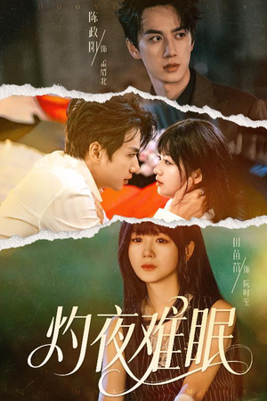 灼夜难眠(60集) 灼夜难眠(60集)演的怎么样