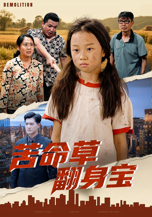 苦命草翻身宝（62集）在线看