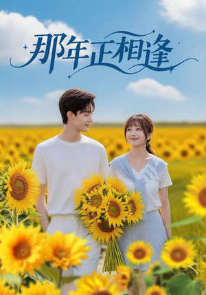 那年正相逢（60集）演的怎么样