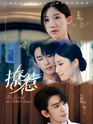 撩惹（80集）原创精彩短剧