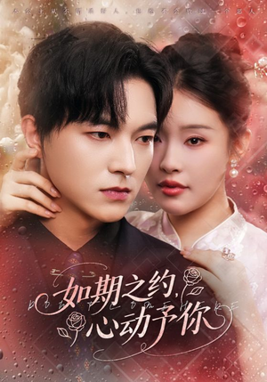 如期之约心动予你（82集）短剧片段推荐