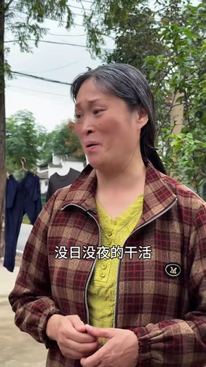 兄弟债（18集）越看越好看短剧