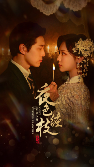 夜色缠枝百度HE版本（62集）高清无码免费看