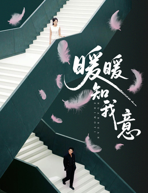 暖暖知我意（61集）原创精彩短剧