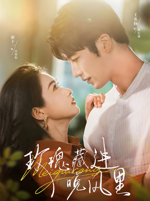 玫瑰藏进晚风里（68集）分享好看的短剧