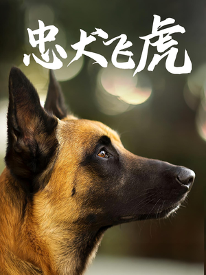 忠犬飞虎(33集) 忠犬飞虎(33集)一口气看完
