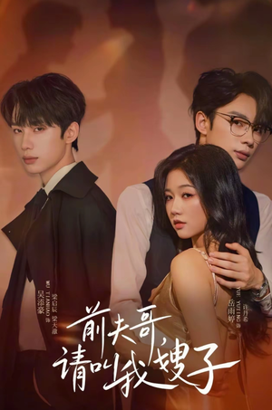 前夫哥请叫我嫂子（40集）在哪个平台看好