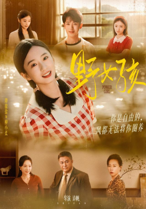 野女孩(91集) 野女孩(91集)看到大结局