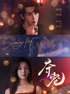 夺宠(88集) 夺宠(88集)全剧免费观看