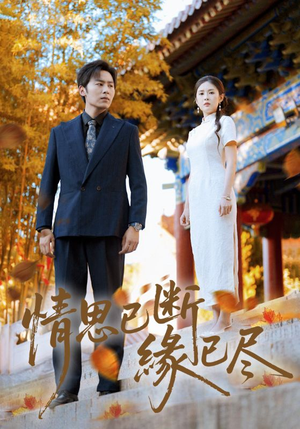 情思已断缘已尽（80集）一共多少集