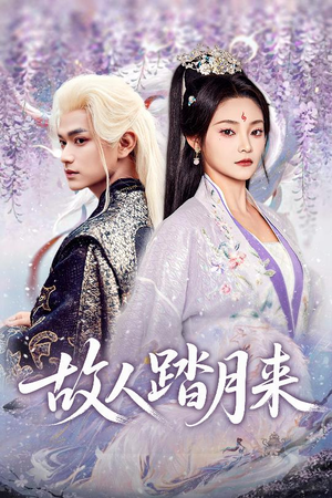 故人踏月来（60集）热播短剧重燃