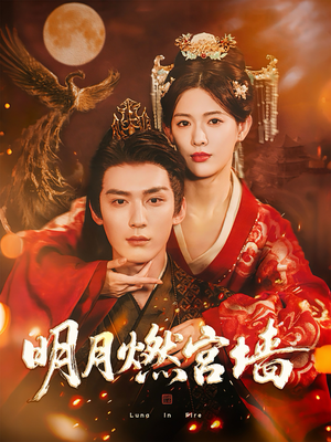 明月燃宫墙(60集) 明月燃宫墙(60集)免费在线看全集