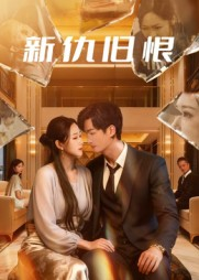 新仇旧恨（51集）最近很火的短剧