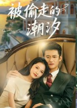 被偷走的潮汐（60集）精彩热门短剧