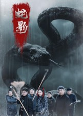 蛇影(25集) 蛇影(25集)热门短剧推广