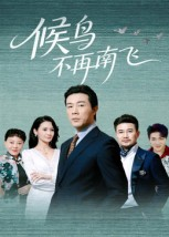 候鸟不再南飞(80集) 候鸟不再南飞(80集)更新时间一览表