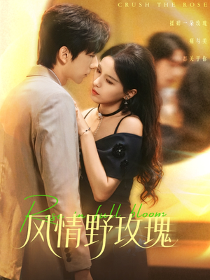 揉碎玫瑰（70集）演的怎么样