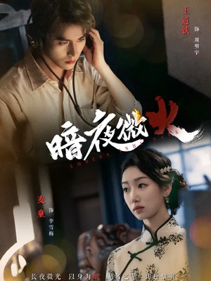 暗夜微火（80集在哪个平台看