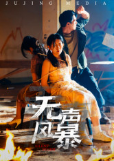 无声风暴（33集）太好看了短剧