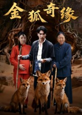金狐奇缘（42集）高清无码免费看