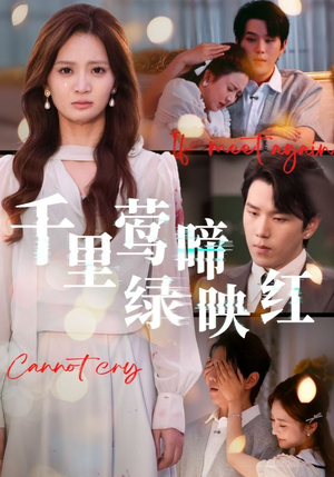 千里莺啼绿映红(63集) 千里莺啼绿映红(63集)在线观看全集