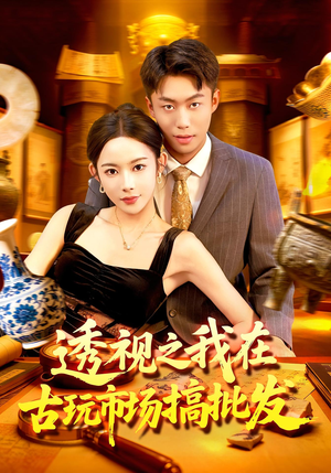 透视之我在古玩市场搞批发(130集) 透视之我在古玩市场搞批发(130集)海量资源免费看