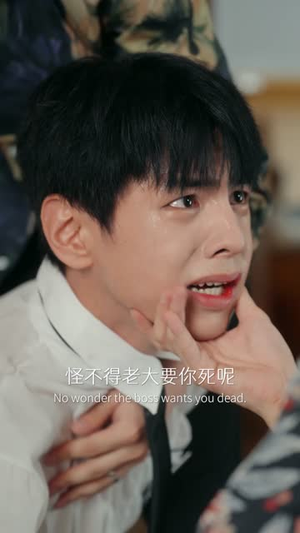 刀口之蜜(46集) 刀口之蜜(46集)短剧中追到爽