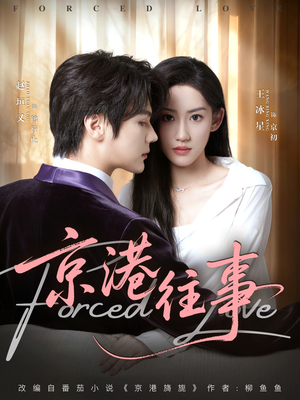 京港往事(80集) 京港往事(80集)无需会员免费看