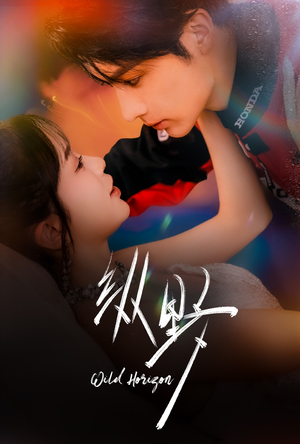 纵野（60集）全季一次看完