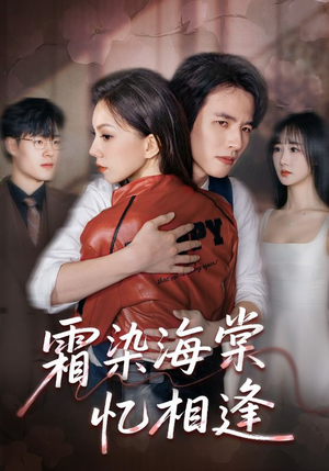 霜染海棠忆相逢（72集）看到了大结局