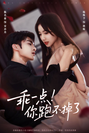 乖一点！你跑不掉了（80集）集免费看短剧