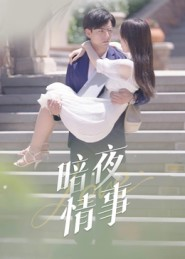 暗夜情事（100集）好看的国产短剧