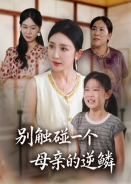 别触碰一个母亲的逆鳞（33集）短剧小说在线看