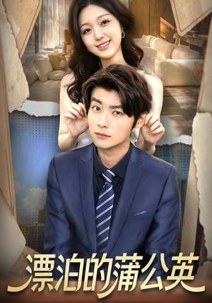 漂泊的蒲公英(60集) 漂泊的蒲公英(60集)好看上头短剧