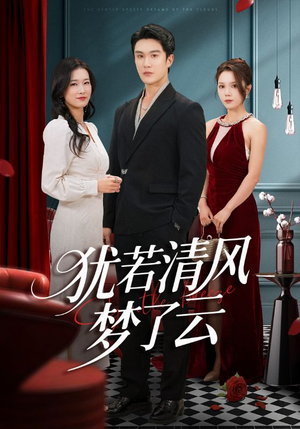 犹若清风梦了云（66集）解说