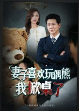 妻子玩偶里的秘密（61集）流畅播放免费看