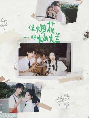 像烟花一样灿烂(60集) 像烟花一样灿烂(60集)在哪里可以全集