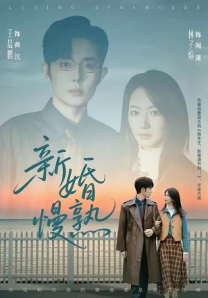 新婚慢熟（105集）视频在线看