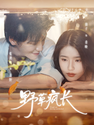 野草疯长(71集) 野草疯长(71集)短剧免费看