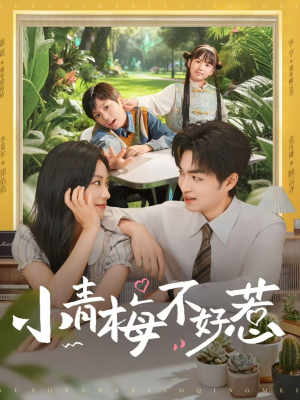小青梅不好惹（73集）全集在线看