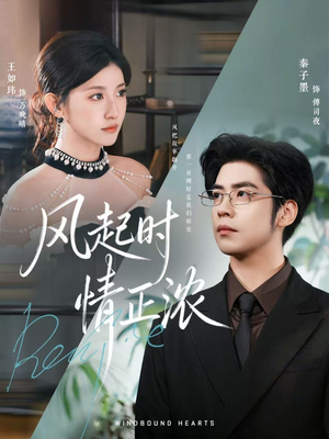 风起时情正浓（79集）短剧精彩不断