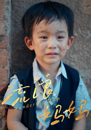 流浪妈妈（30集）看精彩短剧