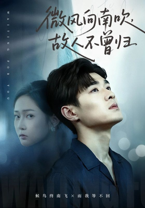 微风向南吹，故人不曾归（72集）热门短剧免费看