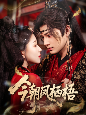 今朝凤栖梧（68集）网盘在线观看
