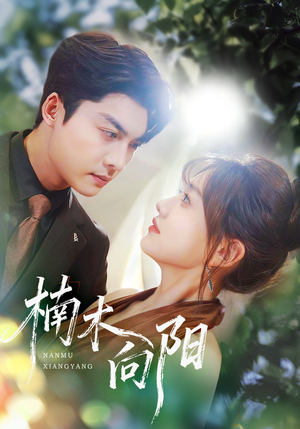 楠木向阳（70集）精彩短剧看全集